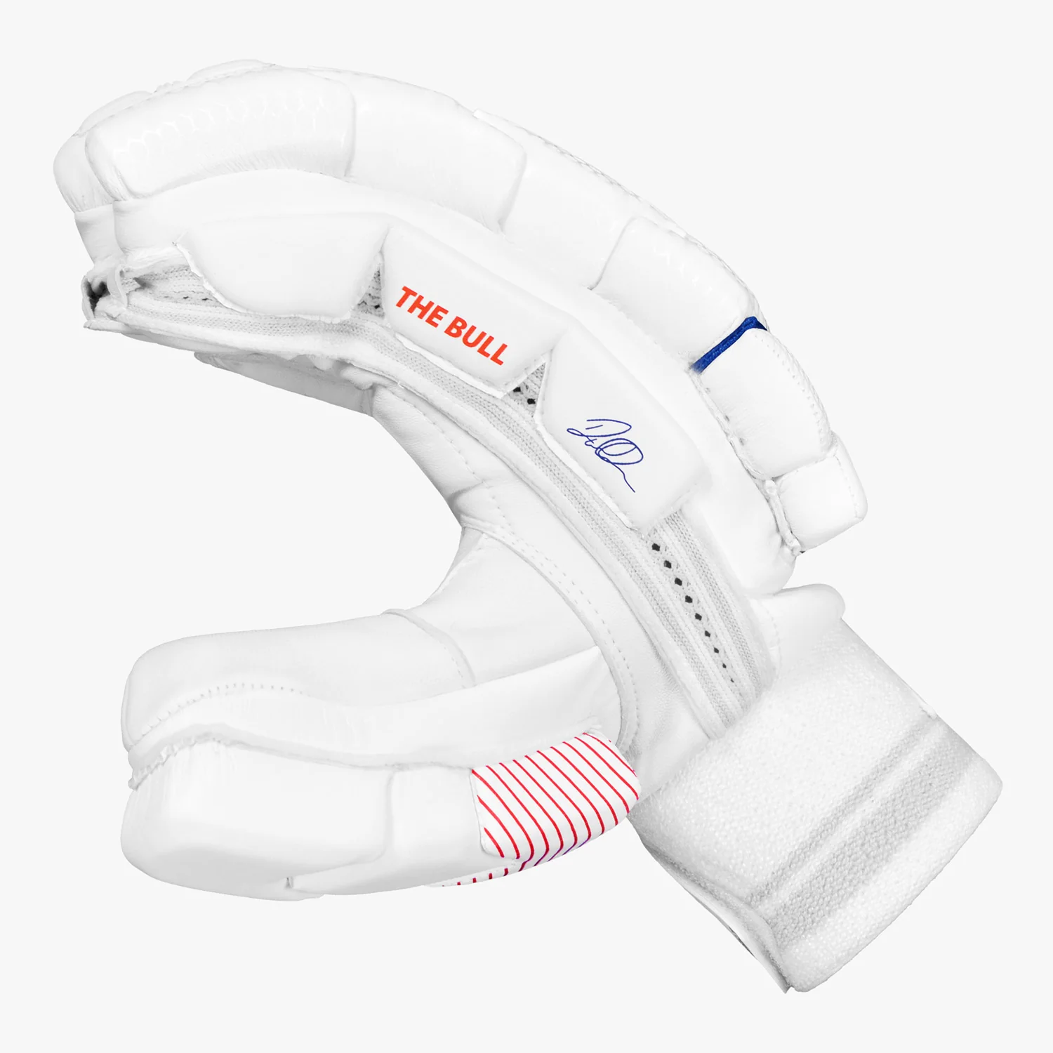 DSC Krunch The Bull Autograph Cricket Batting Gloves - Youth - Image 2