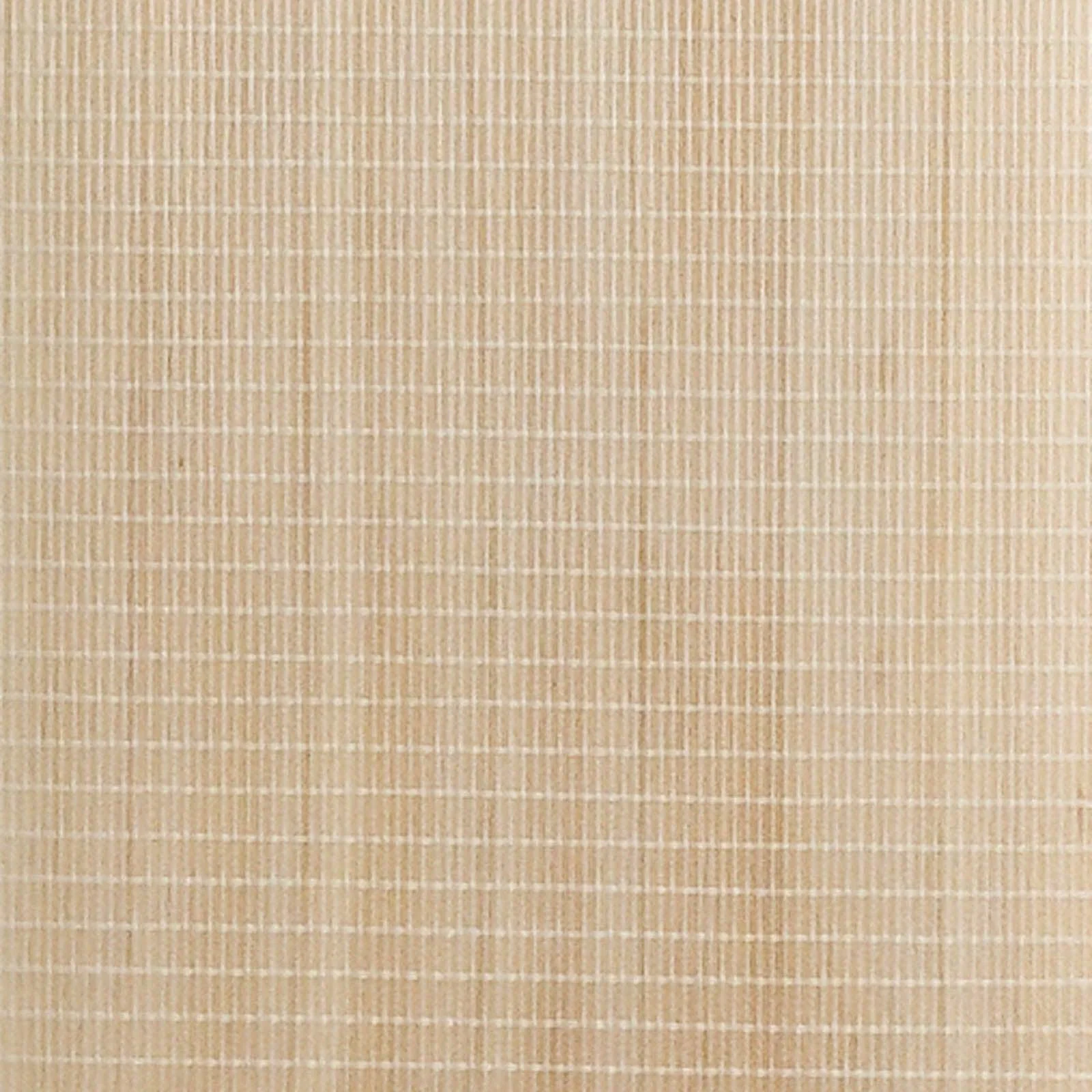 Gray Nicolls Fibretec