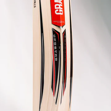 Gray Nicolls Spectre 550 Cricket Bat - Senior (Play Now) - Image 7