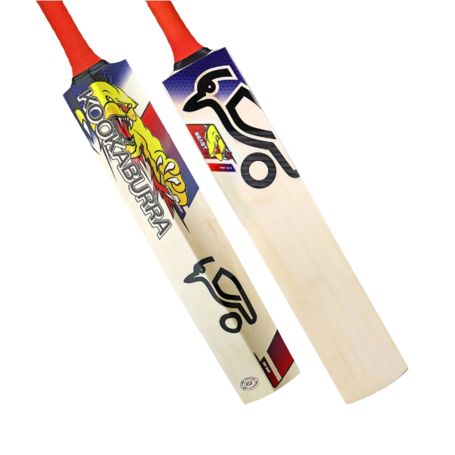 Kookaburra Beast Pro 2.0 Cricket Bat - Small Adult - Image 3