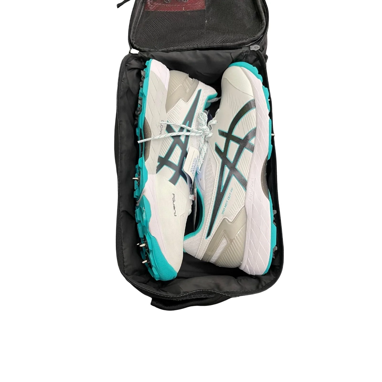 Sturdy Shoe Bag For Sizes Up to US 10 - Image 3