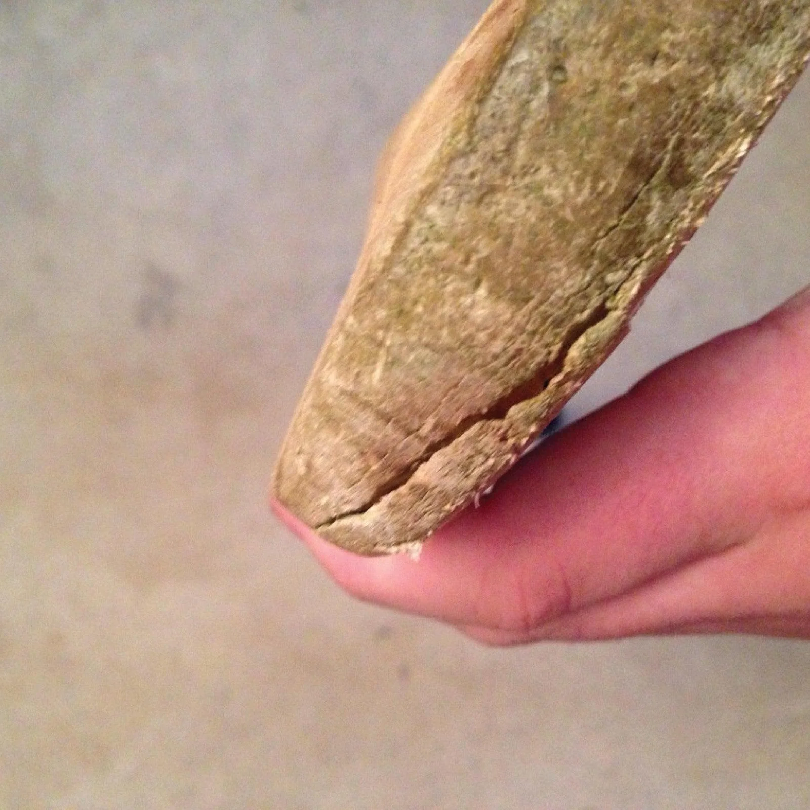 Toe Repair - Image 3